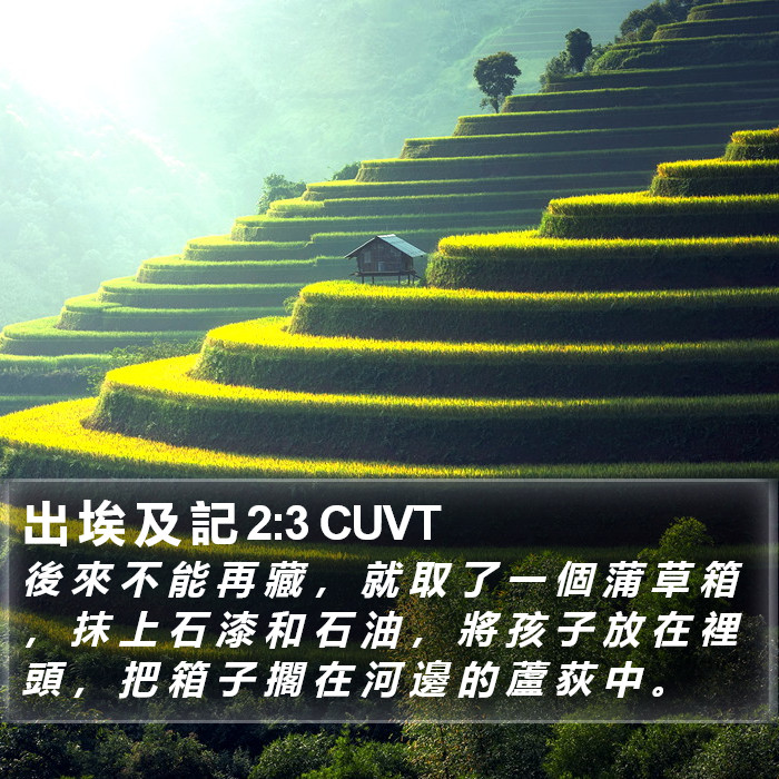 出 埃 及 記 2:3 CUVT Bible Study