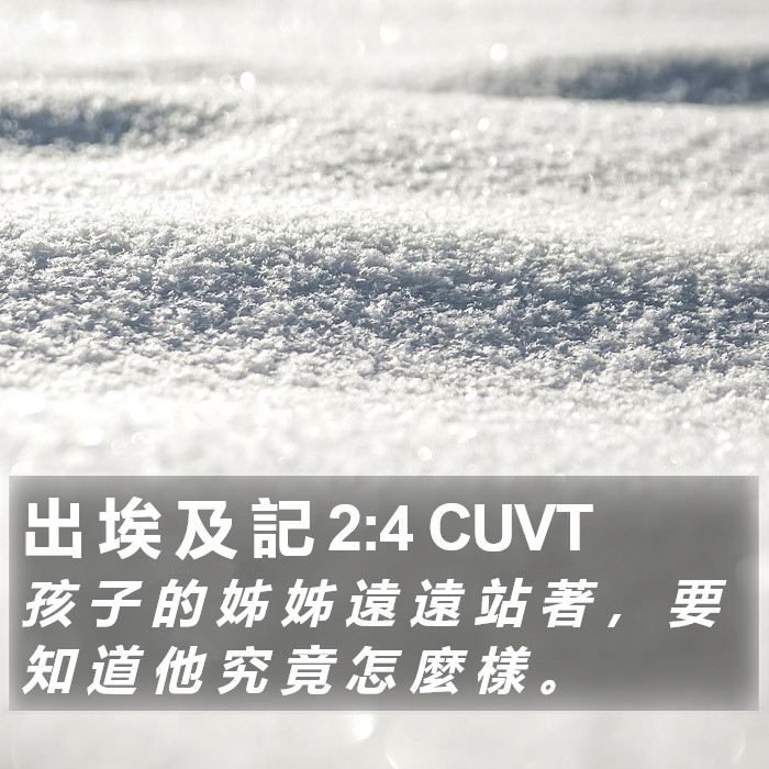 出 埃 及 記 2:4 CUVT Bible Study