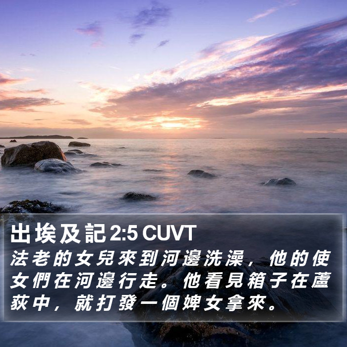 出 埃 及 記 2:5 CUVT Bible Study