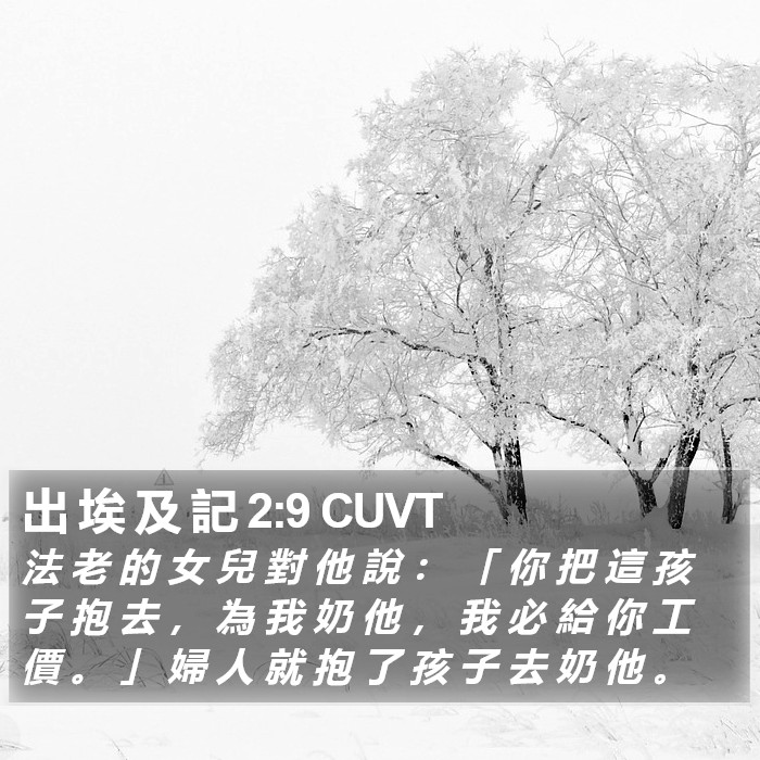 出 埃 及 記 2:9 CUVT Bible Study