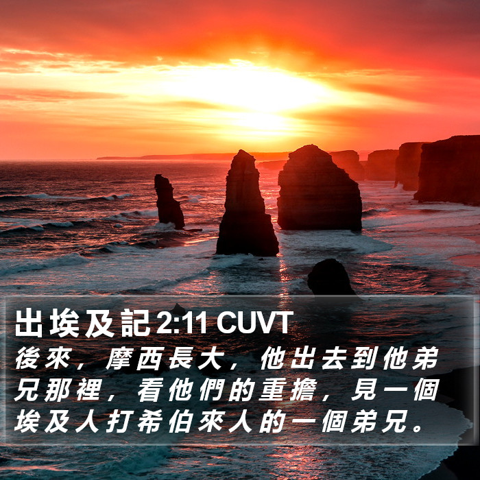 出 埃 及 記 2:11 CUVT Bible Study