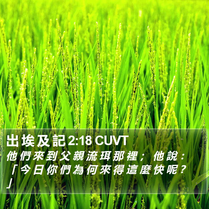 出 埃 及 記 2:18 CUVT Bible Study