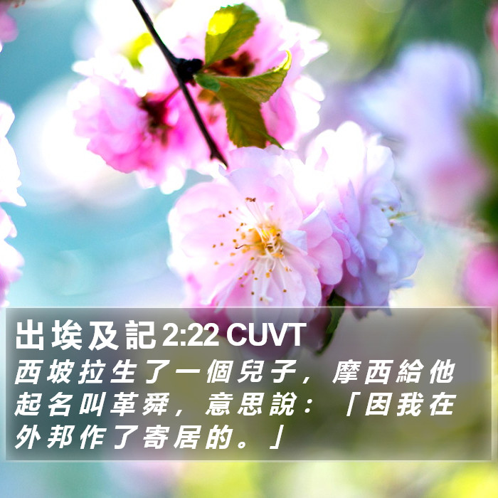 出 埃 及 記 2:22 CUVT Bible Study