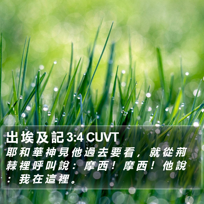 出 埃 及 記 3:4 CUVT Bible Study