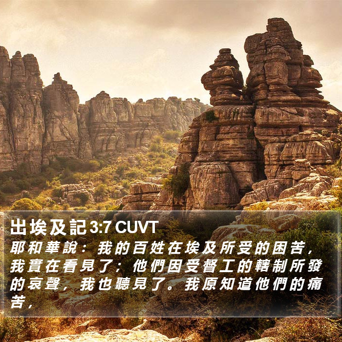 出 埃 及 記 3:7 CUVT Bible Study