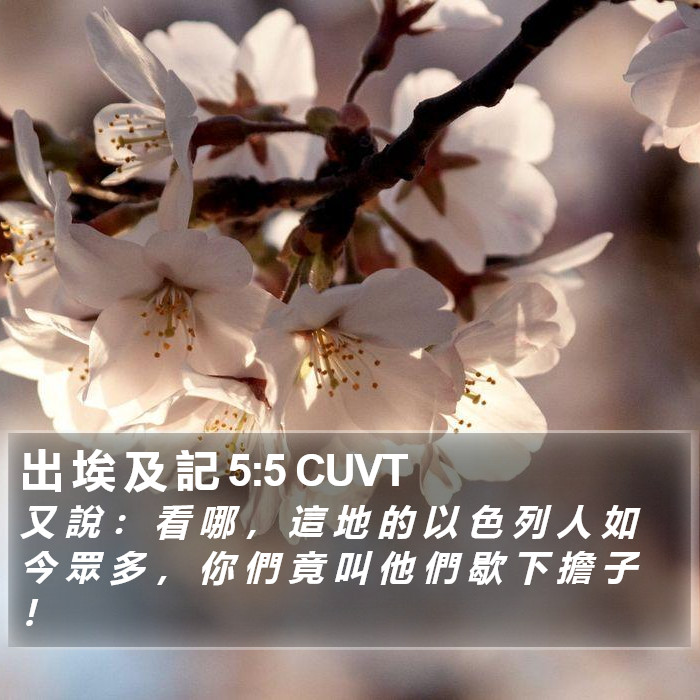 出 埃 及 記 5:5 CUVT Bible Study