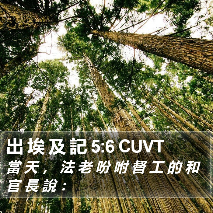 出 埃 及 記 5:6 CUVT Bible Study