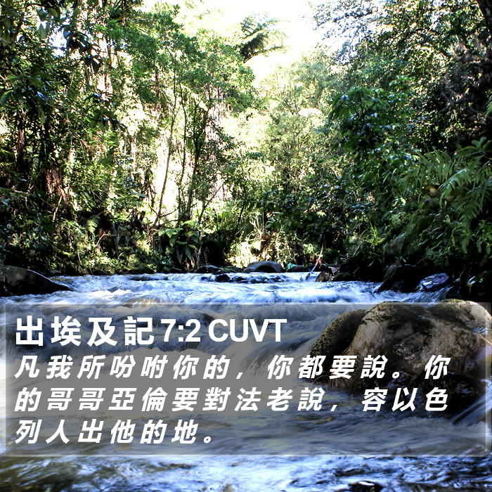 出 埃 及 記 7:2 CUVT Bible Study