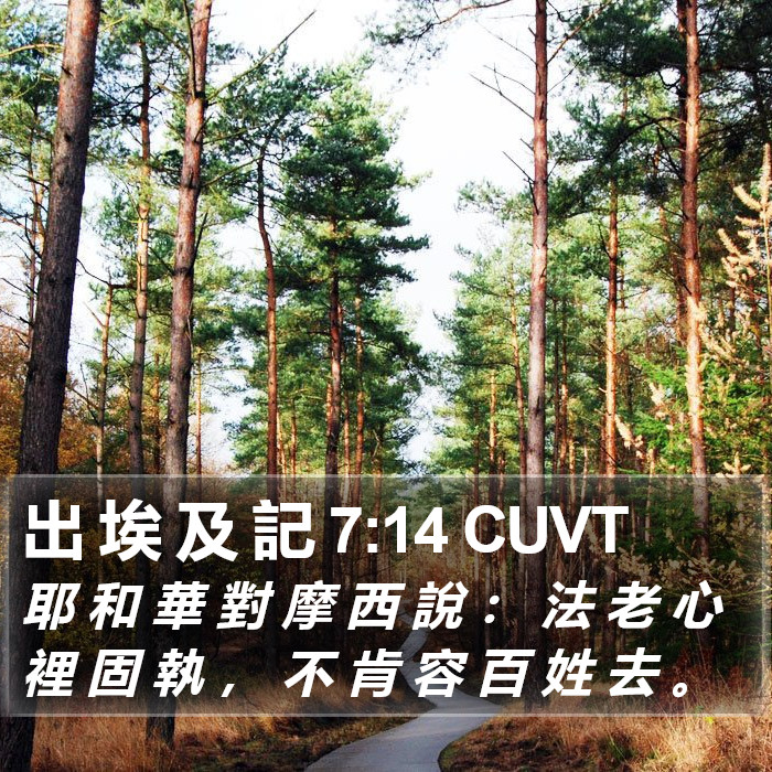 出 埃 及 記 7:14 CUVT Bible Study