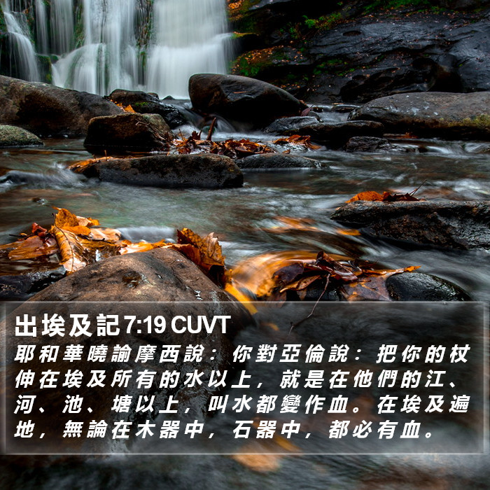 出 埃 及 記 7:19 CUVT Bible Study