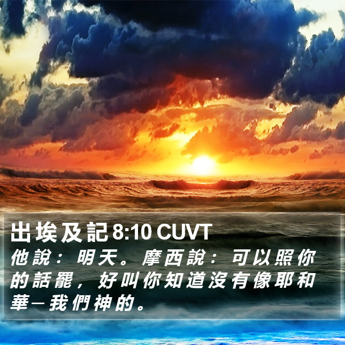 出 埃 及 記 8:10 CUVT Bible Study