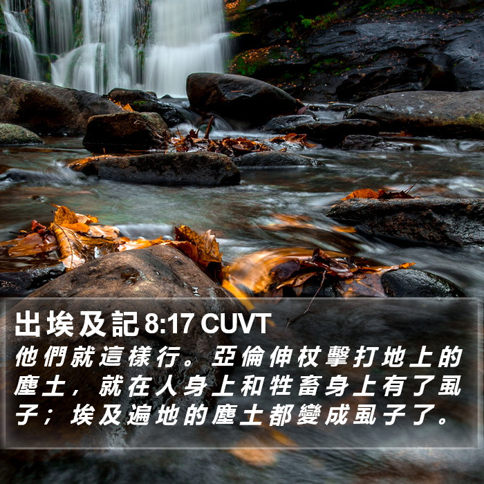 出 埃 及 記 8:17 CUVT Bible Study