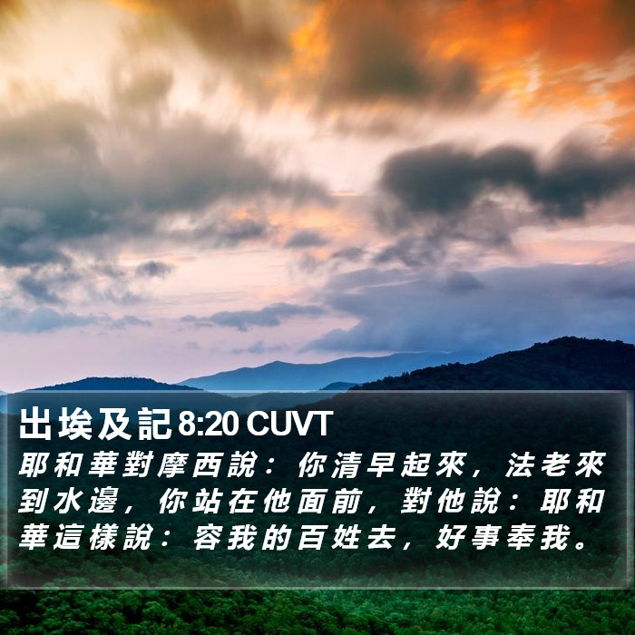 出 埃 及 記 8:20 CUVT Bible Study