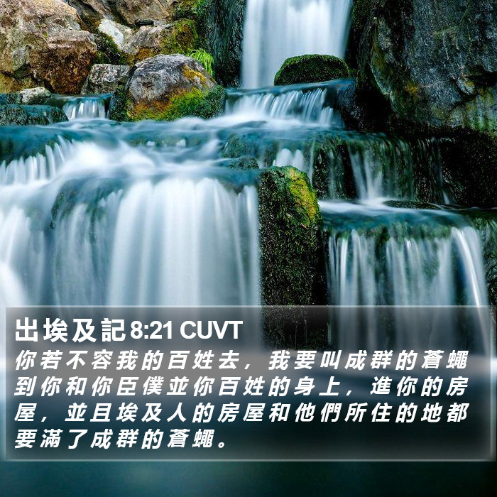 出 埃 及 記 8:21 CUVT Bible Study