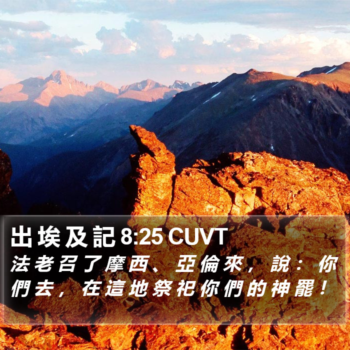 出 埃 及 記 8:25 CUVT Bible Study