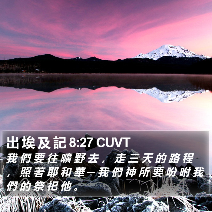 出 埃 及 記 8:27 CUVT Bible Study