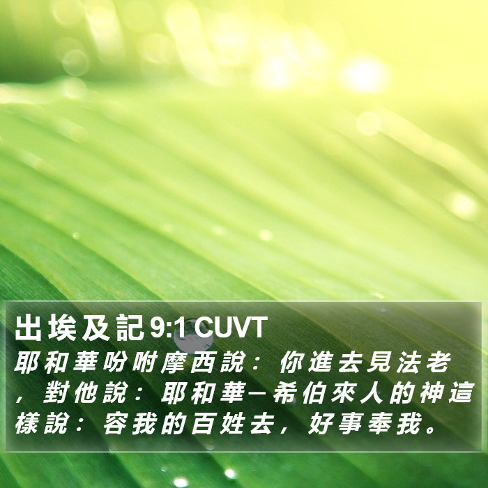 出 埃 及 記 9:1 CUVT Bible Study