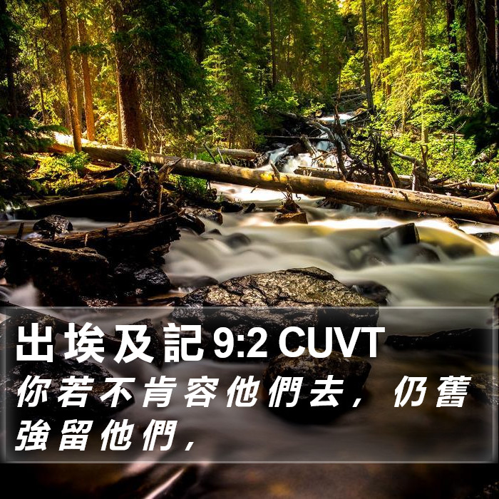 出 埃 及 記 9:2 CUVT Bible Study