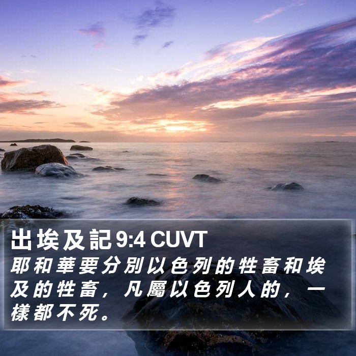 出 埃 及 記 9:4 CUVT Bible Study