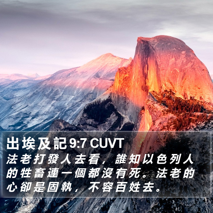 出 埃 及 記 9:7 CUVT Bible Study