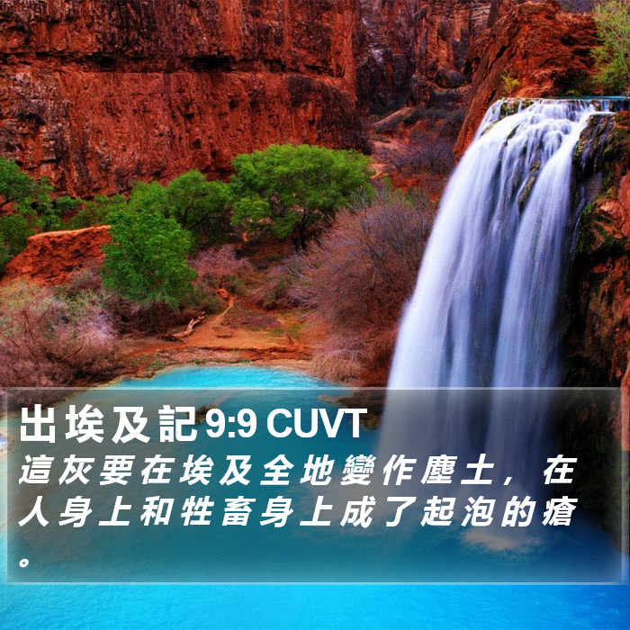 出 埃 及 記 9:9 CUVT Bible Study