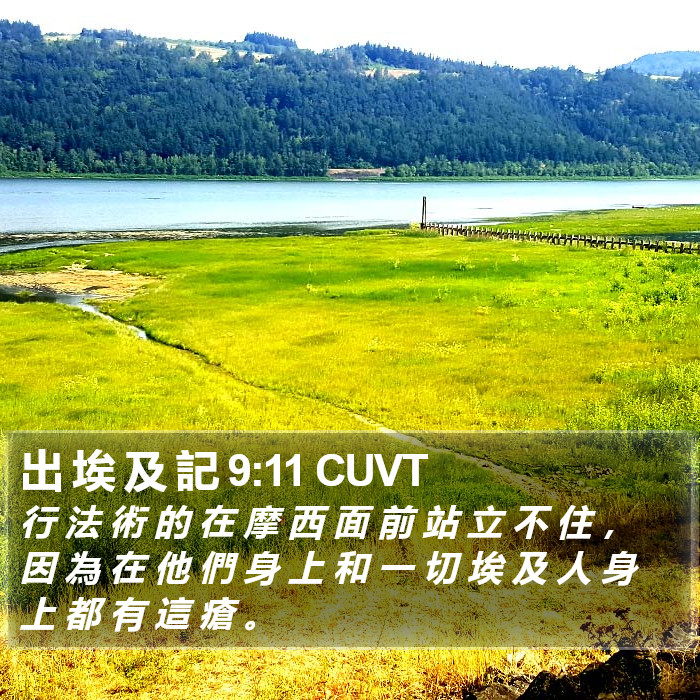 出 埃 及 記 9:11 CUVT Bible Study