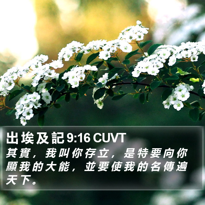 出 埃 及 記 9:16 CUVT Bible Study