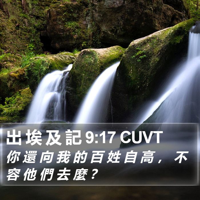 出 埃 及 記 9:17 CUVT Bible Study