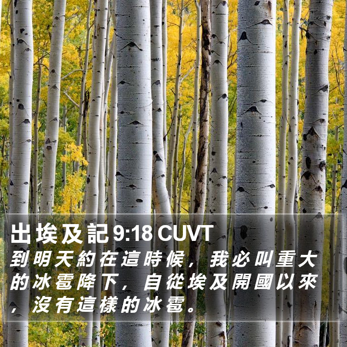 出 埃 及 記 9:18 CUVT Bible Study