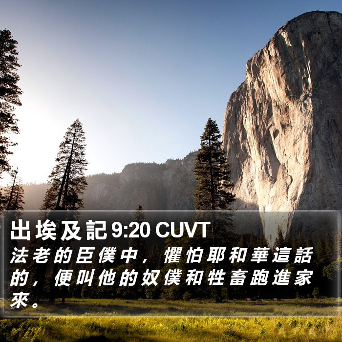 出 埃 及 記 9:20 CUVT Bible Study