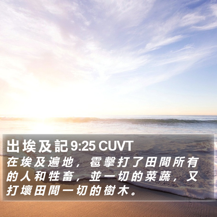 出 埃 及 記 9:25 CUVT Bible Study