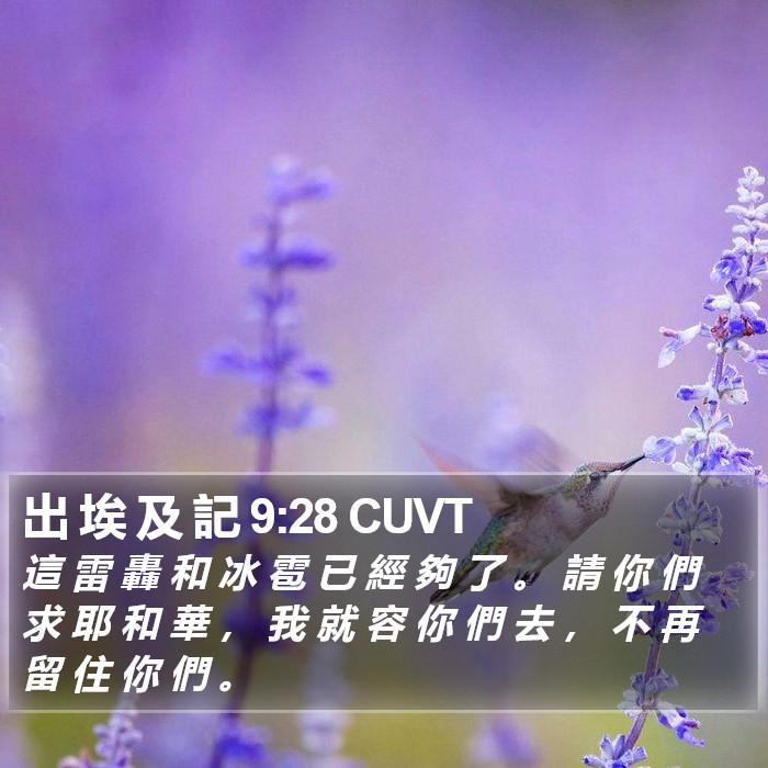 出 埃 及 記 9:28 CUVT Bible Study