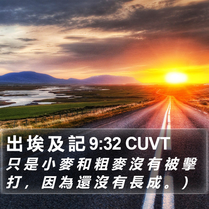 出 埃 及 記 9:32 CUVT Bible Study