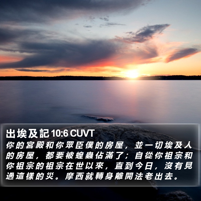 出 埃 及 記 10:6 CUVT Bible Study