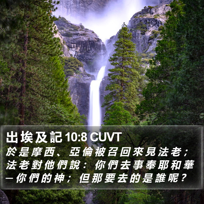 出 埃 及 記 10:8 CUVT Bible Study