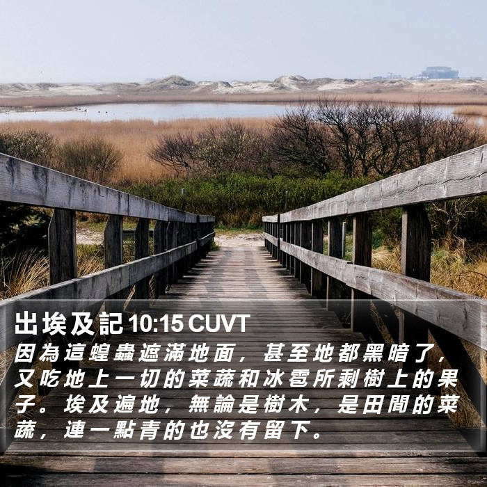 出 埃 及 記 10:15 CUVT Bible Study