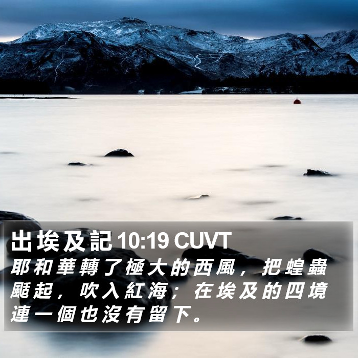出 埃 及 記 10:19 CUVT Bible Study