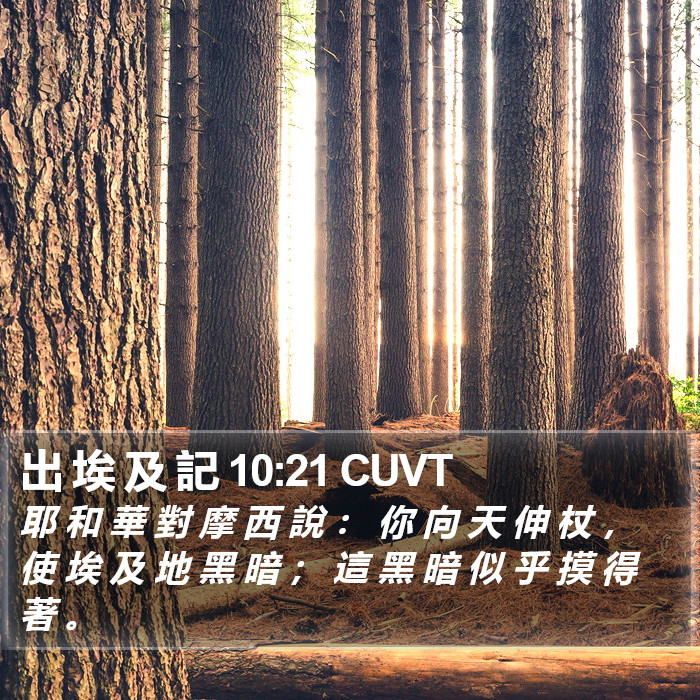 出 埃 及 記 10:21 CUVT Bible Study