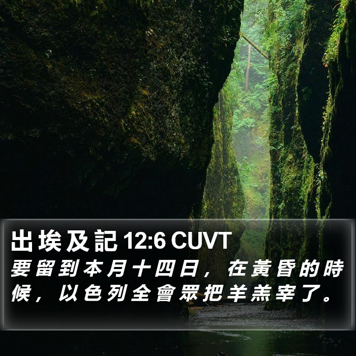 出 埃 及 記 12:6 CUVT Bible Study