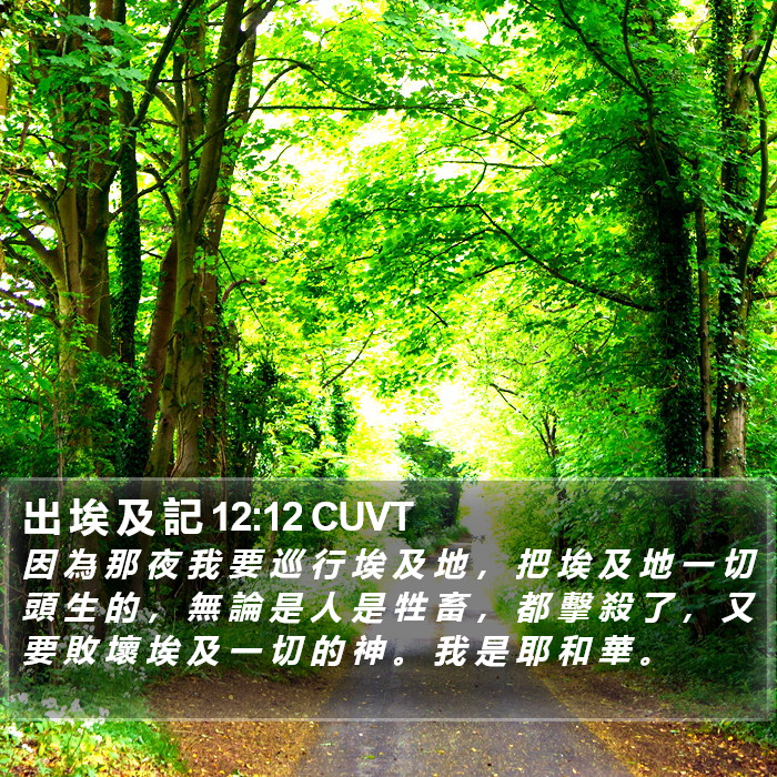 出 埃 及 記 12:12 CUVT Bible Study