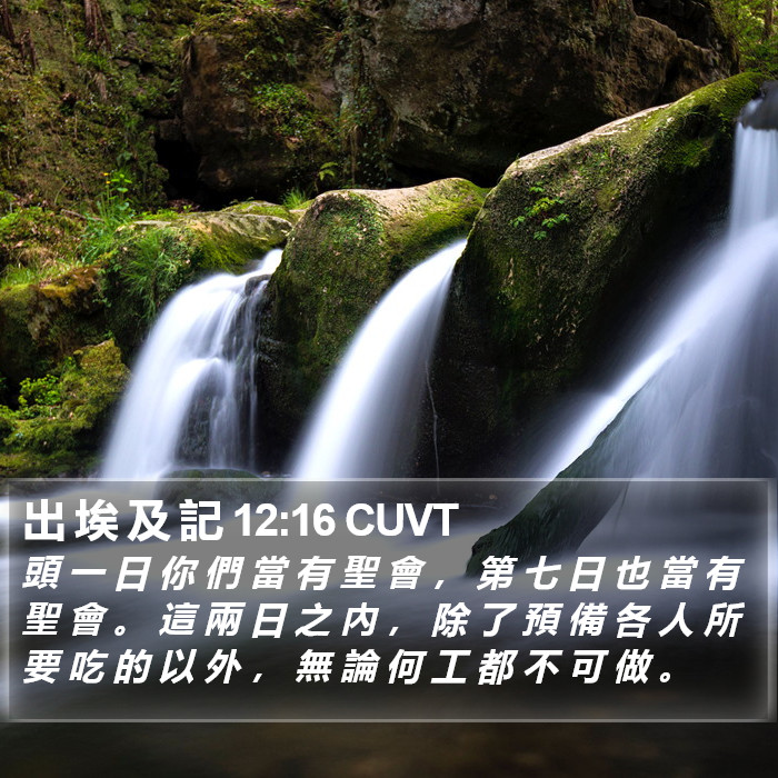 出 埃 及 記 12:16 CUVT Bible Study