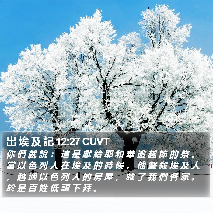 出 埃 及 記 12:27 CUVT Bible Study