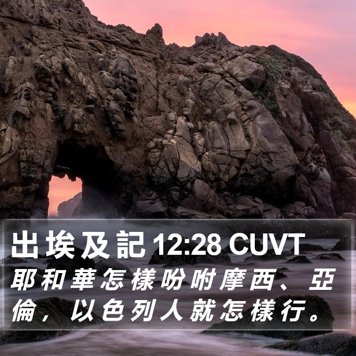出 埃 及 記 12:28 CUVT Bible Study