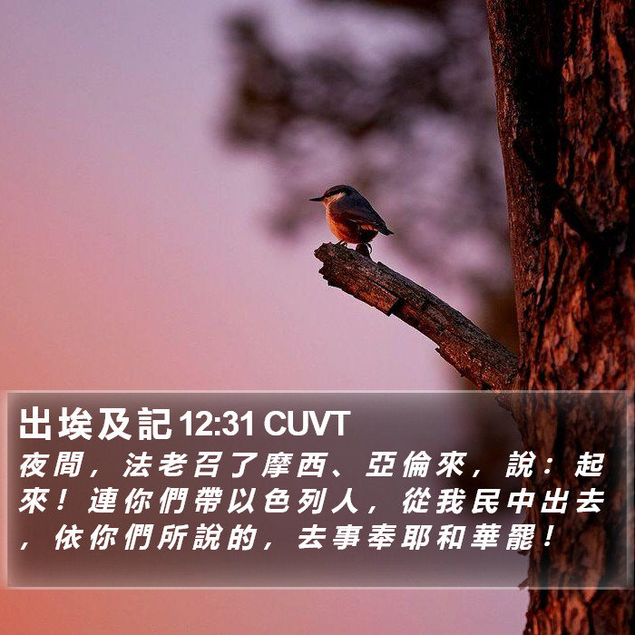出 埃 及 記 12:31 CUVT Bible Study