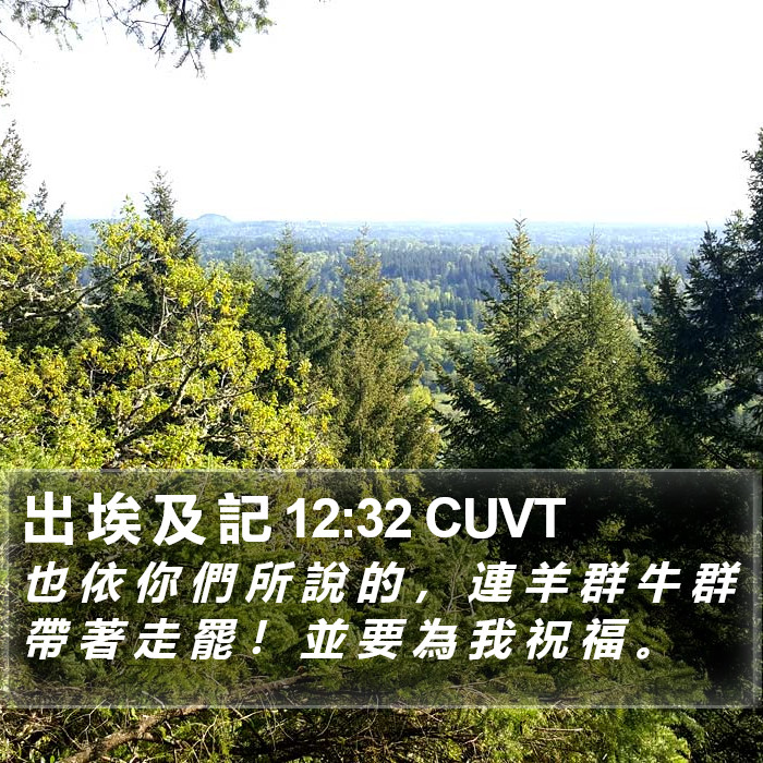 出 埃 及 記 12:32 CUVT Bible Study
