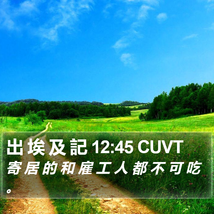 出 埃 及 記 12:45 CUVT Bible Study