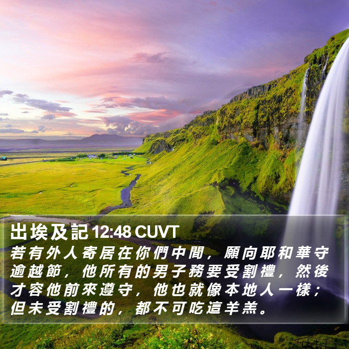 出 埃 及 記 12:48 CUVT Bible Study