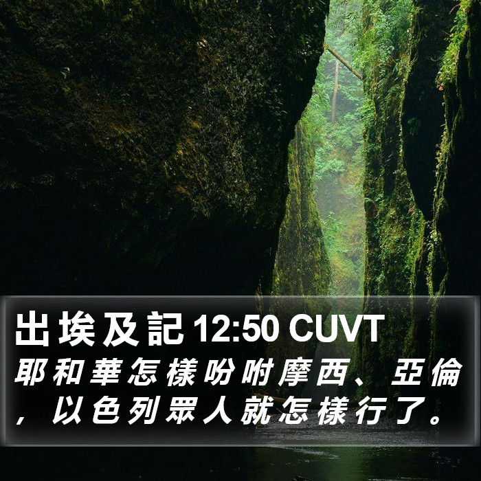 出 埃 及 記 12:50 CUVT Bible Study