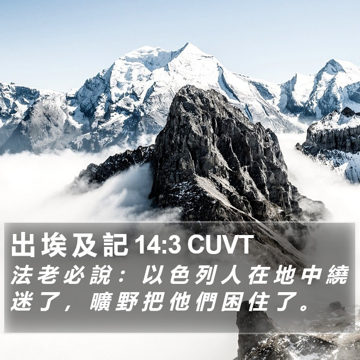 出 埃 及 記 14:3 CUVT Bible Study