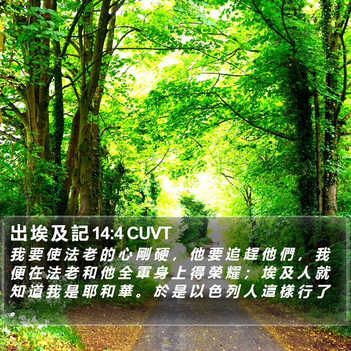 出 埃 及 記 14:4 CUVT Bible Study